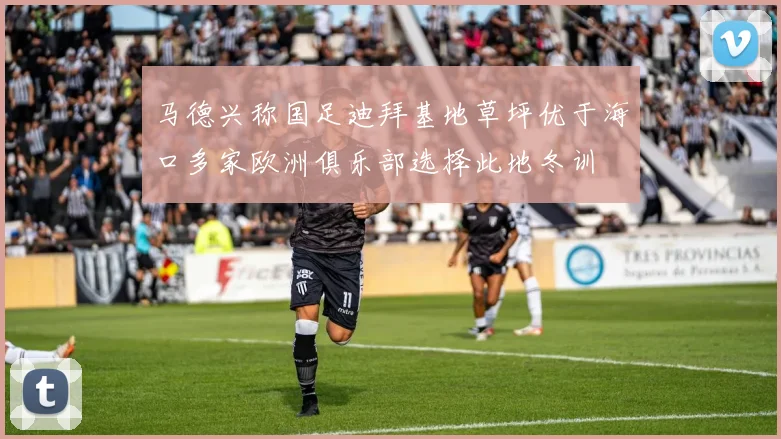 马德兴称国足迪拜基地草坪优于海口多家欧洲俱乐部选择此地冬训