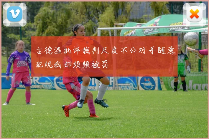 古德温批评裁判尺度不公对手随意犯规我却频频被罚