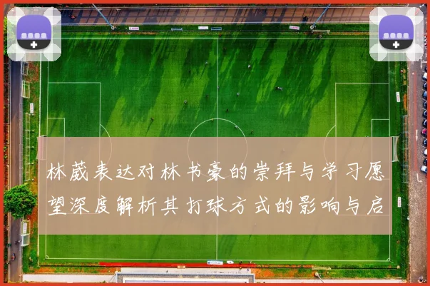 林葳表达对林书豪的崇拜与学习愿望深度解析其打球方式的影响与启发