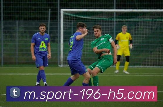 196体育服务体系